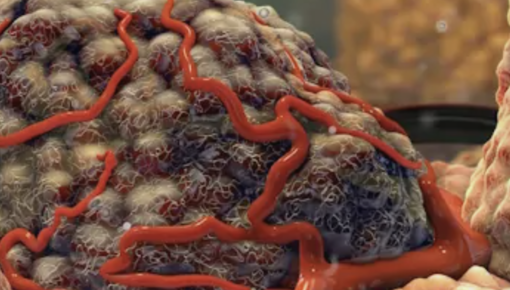 https://www.oncology-centr.ru/about/news/rezultaty-nauchnogo-issledovaniya/